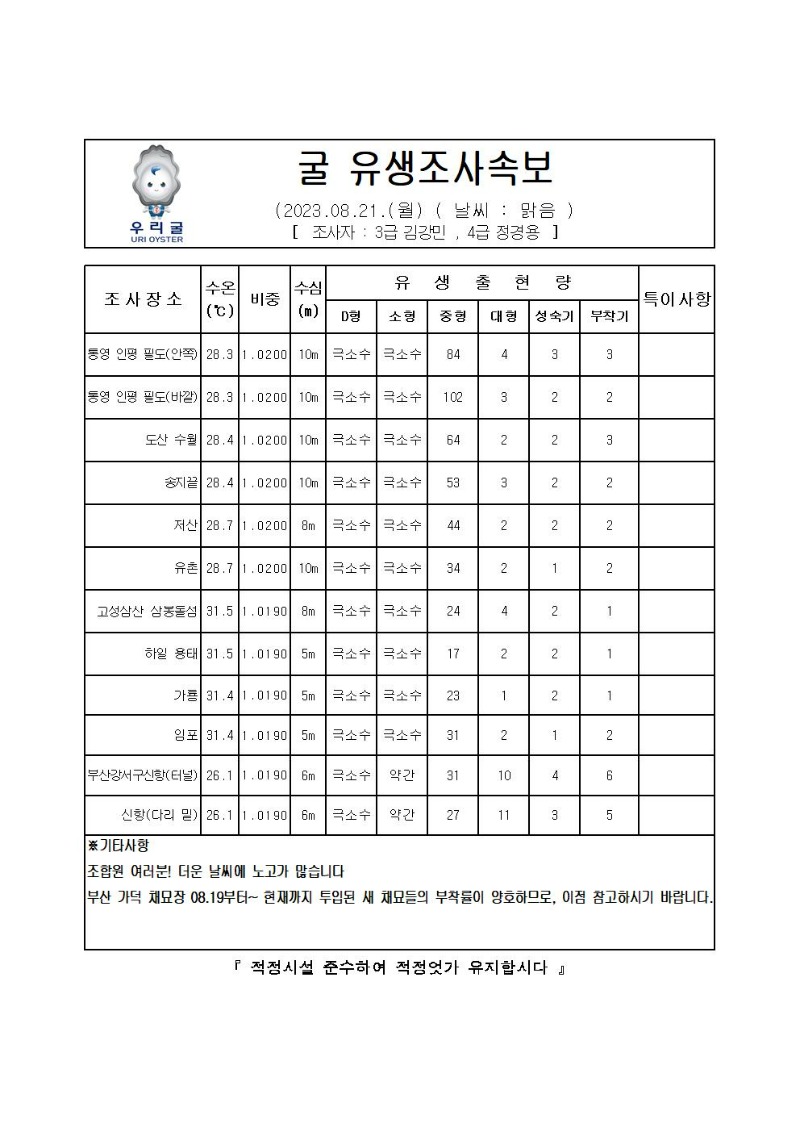 2023년 굴 유생조사 속보 08월 21일001.jpg