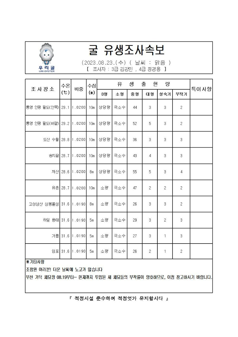 2023년 굴 유생조사 속보 08월 23일001.jpg