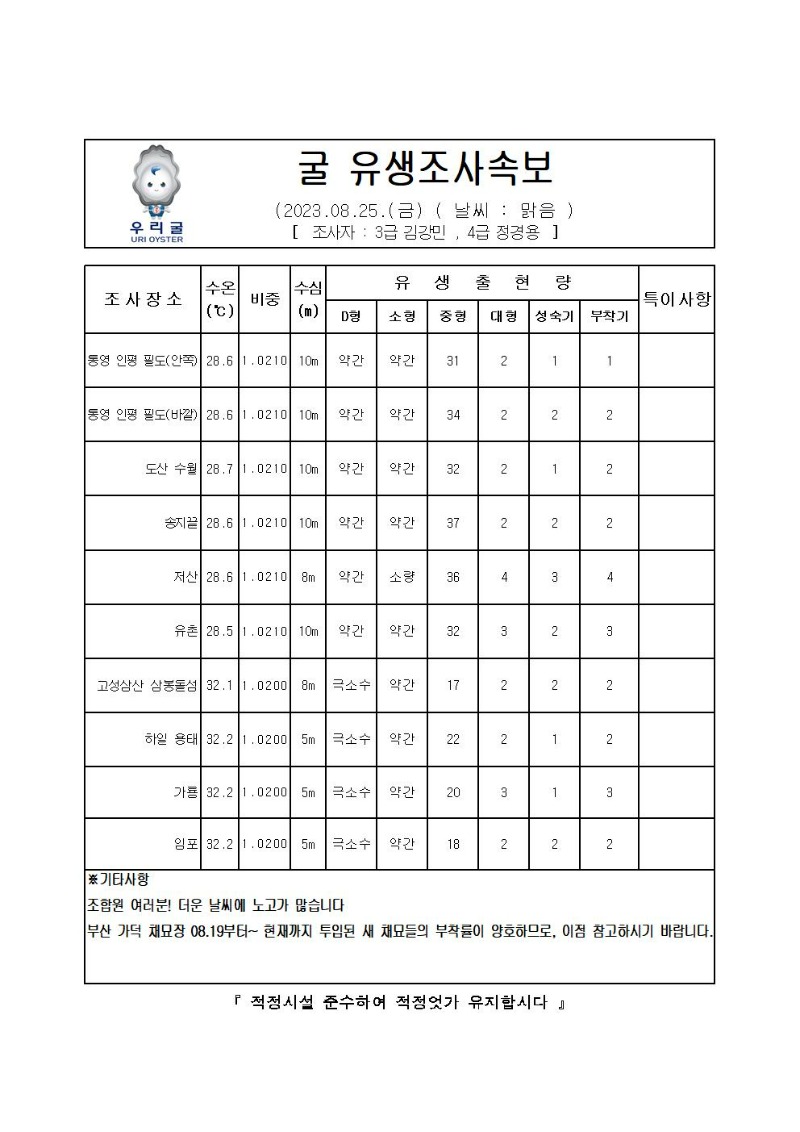 2023년 굴 유생조사 속보 08월 25일001.jpg