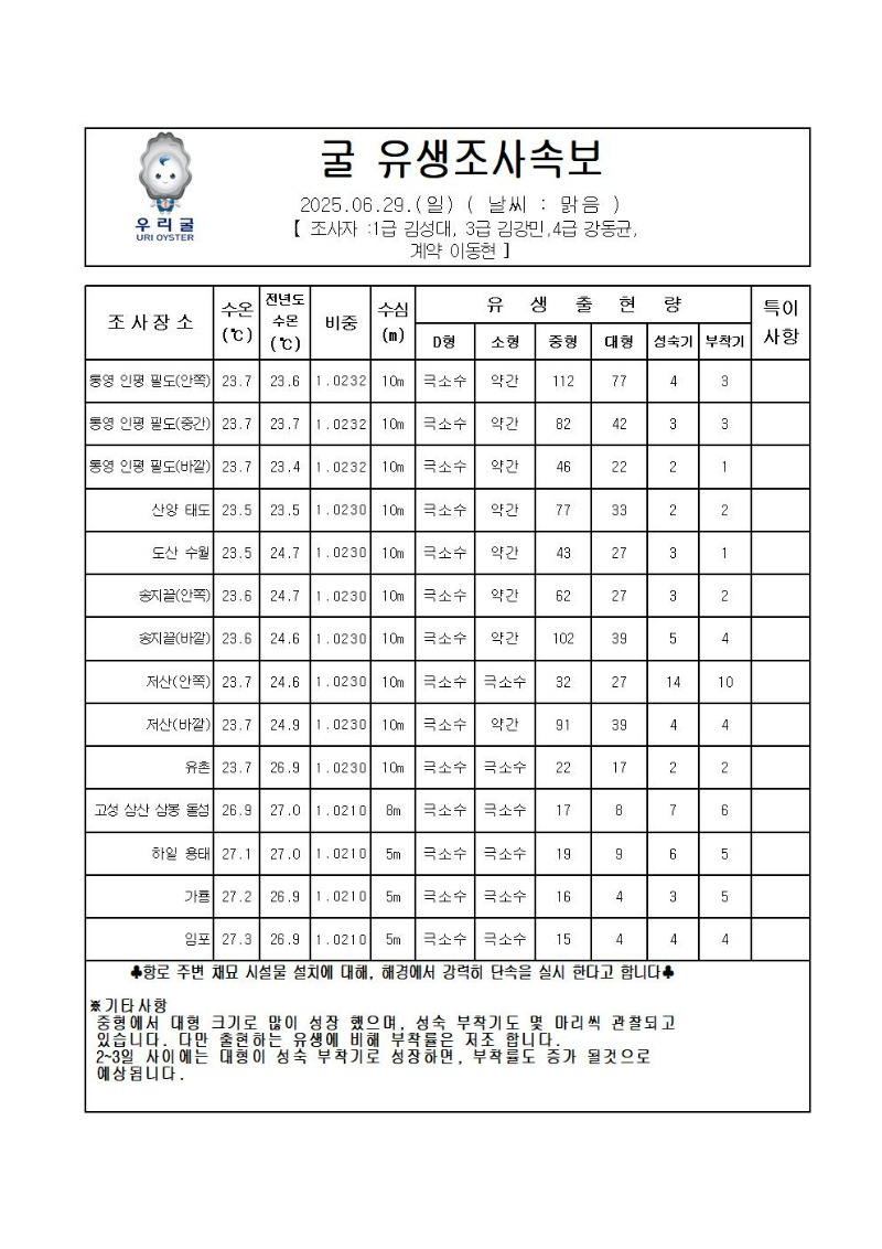 2025년 굴 유생조사 속보 06월 29일001.jpg