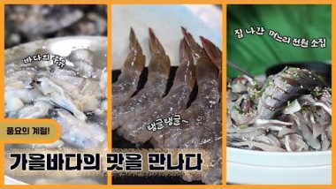 가을 바다의 맛을 만나다~ 【생생투데이 사람과…