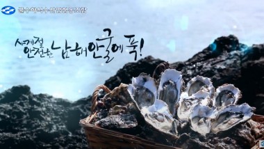 굴수하식수산업협동조합 영상