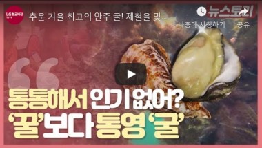 추운 겨울 최고의 안주 굴! 제철을 맞았지만 …